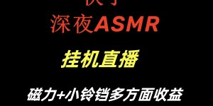 （8757期）快手深夜ASMR挂机直播磁力+小铃铛多方面收益