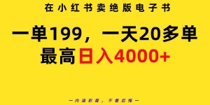 （9401期）在小红书卖绝版电子书，一单199 一天最多搞20多单，最高日入4000+教程+资料