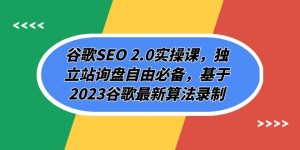 （7708期）谷歌SEO 2.0实操课，独立站询盘自由必备，基于2023谷歌最新算法录制（94节