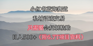 （9487期）小红书短剧赛道，私域引流交易，会复制粘贴，日入500+（附6.7T短剧资源）
