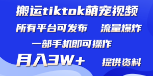 （9618期）搬运Tiktok萌宠类视频，一部手机即可。所有短视频平台均可操作，月入3W+