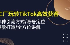 （10302期）外贸工厂玩转TikTok高效获客，多种引流方式/账号定位/爆款打造/全方位讲解