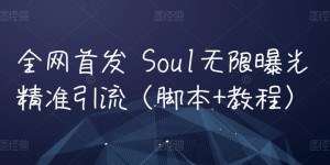 全网首发 Soul无限曝光精准引流（脚本+教程）