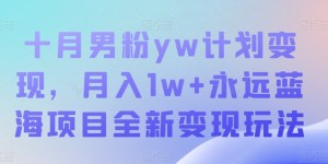 十月男粉yw计划变现，月入1w+永远蓝海项目全新变现玩法【揭秘】