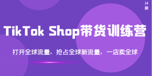 TikTok Shop 全球店带货训练营（第14期）4599
